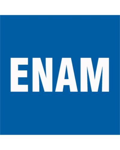 Enam-Holdings